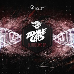 Zombie Cats & Safra - Gaining Time