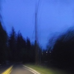 Panda People Under The Stars