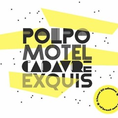 01 Polpo Motel - Overponder