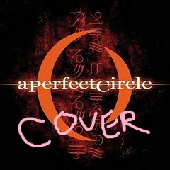A Perfect Circle - Weak and powerless (Cover)