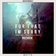 For That, I'm Sorry - Wayfarer// Remix