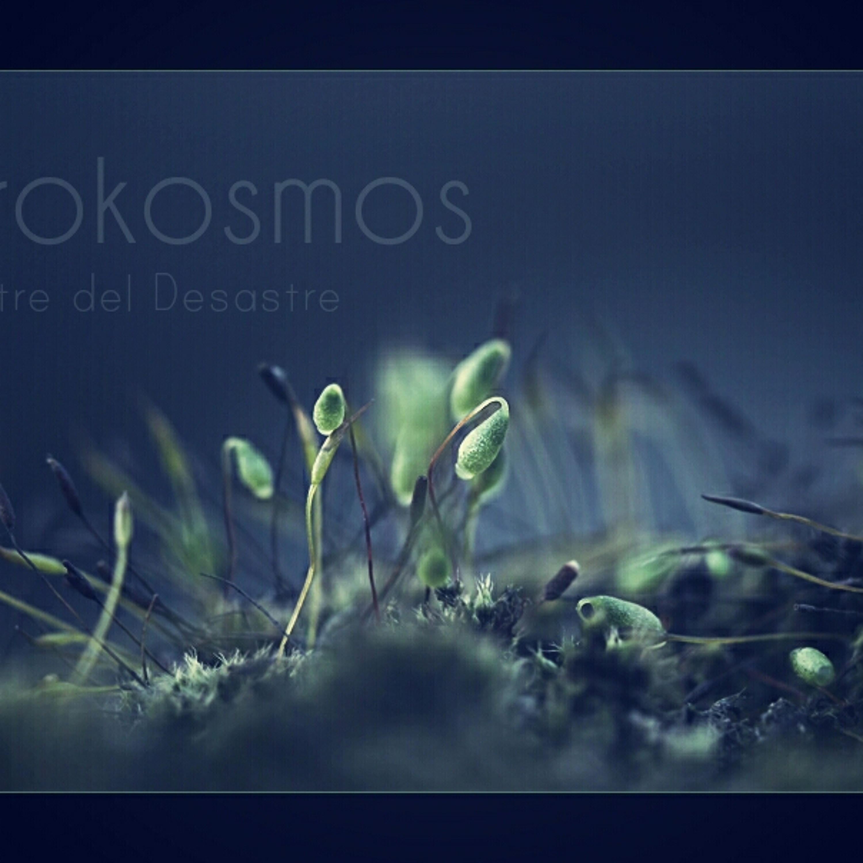 Sastre del Desastre