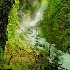 Tohlmayer Feri Bácsi és a Fürge Lajhárok feat Plankton - Relaxe Kazetta