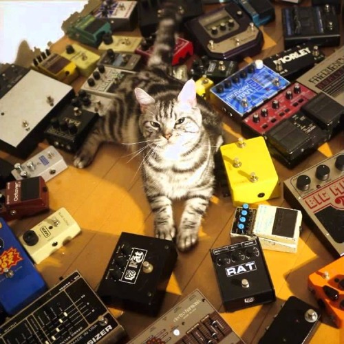Bright - 東京酒吐座 Tokyo Shoegazer