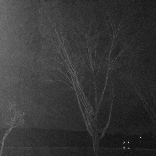 Bones - OkayButThisIsTheLastTime [Prod. By FrozenGangBeatz]