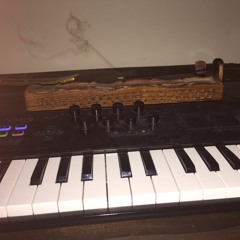 Party and Bullshit remix