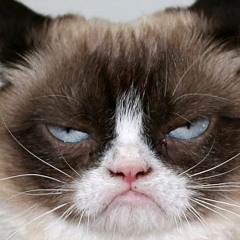 Better Late Than Never