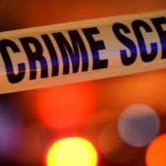 Trent Johnson & AG "Dollar Sign Dollar Sign"