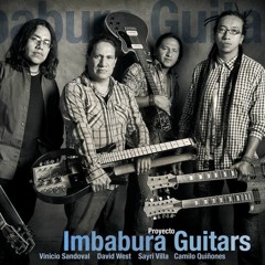 Imbabura guitars
