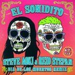 El Sonidito- Steve Aoki   Reid Stefan Remix