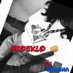 INTRO TO ZOEKLO