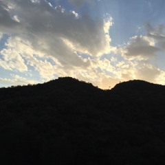 Piano Sonata Opus 49