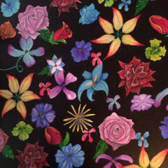 Feel Flows (The Beach Boys)