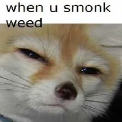 Soundclown 4: Return of the memes