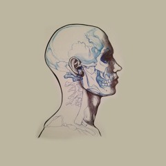 Bring Me The Horizon - Can You Feel My Heart (Cover by Dan Machado)