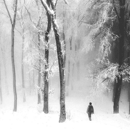 I have two shadows but can only see them when I'm alone!