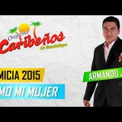 108. Como Mi Mujer - Caribeños De Guadalupe [ ¡ Dj LUIS -VIP  ! ]2ol5'. USO