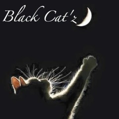 black cat'z