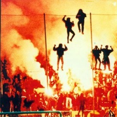 صديق النظام