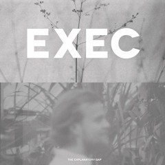 EXEC - The Explanatory Gap