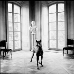 The Silence Set - We Will Die Enraged