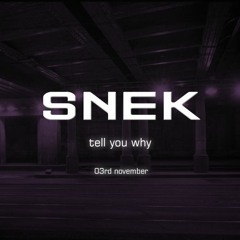 ATFC - Tell U Y (Kenshin remix)