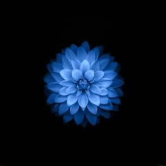 Neo-Classical & Ambient
