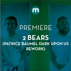 Premiere: The 2 Bears 'The Night Is Young' (Patrice Baumel Dark Upon Us Rework)