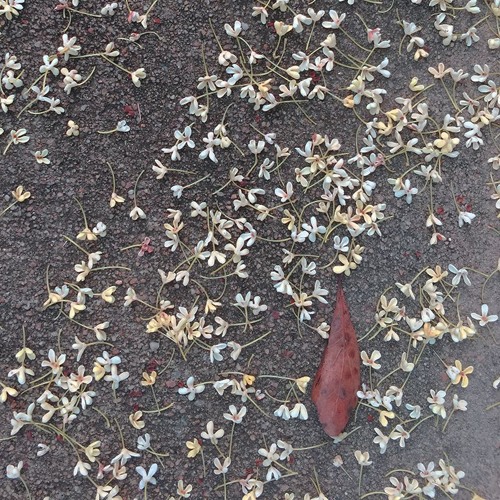 idle hour ft. dawson & kolada