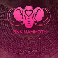 Alastair - Pink Mammoth - Burning Man 2015