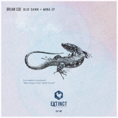 BLUE DAWN (ORIGINAL MIX) [EXTINCT RECORDS]