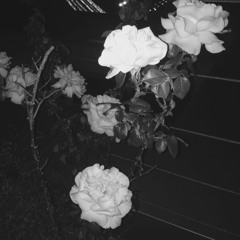 입관식
