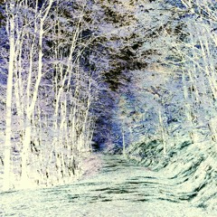 Where the wild things sing - Wildsilences & vANdERlAMP