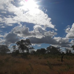 Backwards Roll (original iPhone voice memo)