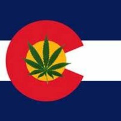 D - Talkz State - Of - Mind - Contest - Submission - D-talkz