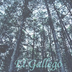 El Gallego