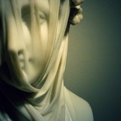 viaje al centro de la verga