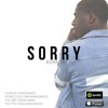 Sorry Justin Bieber Cover Mp3