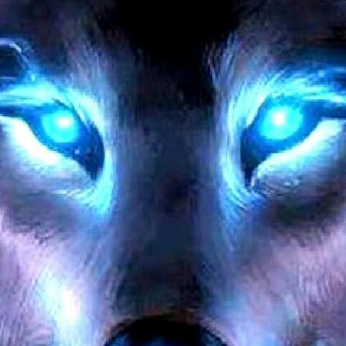 Animal I've become