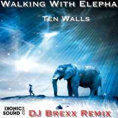 Walking With Elephants(DJ Brexx Remix)