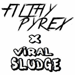 Filthy Pyrex X VIRAL- SLUDGE