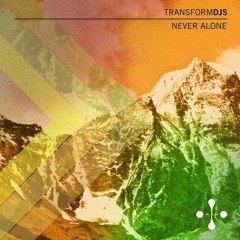 Transform DJ'S - Can't Take It (Dj Alex Couto Simple Extended)