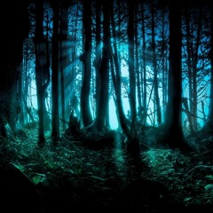 Psyrrano - Fall 2015 Forest Psy DJ Mix
