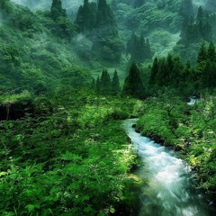 Sai .Satindar Sartaaj
