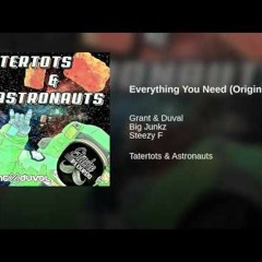Everything You Need (Original Mix)