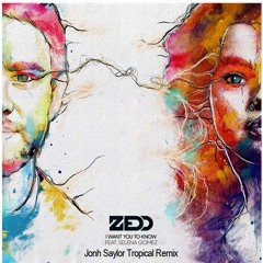 Zedd - I Want You To Know Feat. Selena Gomez (Jonh Saylor Tropical Remix)
