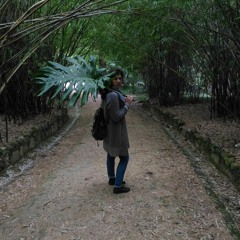 Primordial Sound - Live in Coimbra (Portugal)