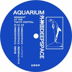 B2 Aquarium - Rainy Night In Shibuya(外神田Deepspace Slow Down Mix)