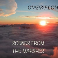 Sounds from the Marshes - Overflow and Rebirth