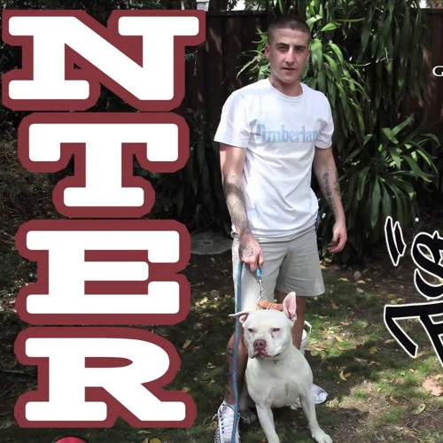 NTER - A Song For Noah